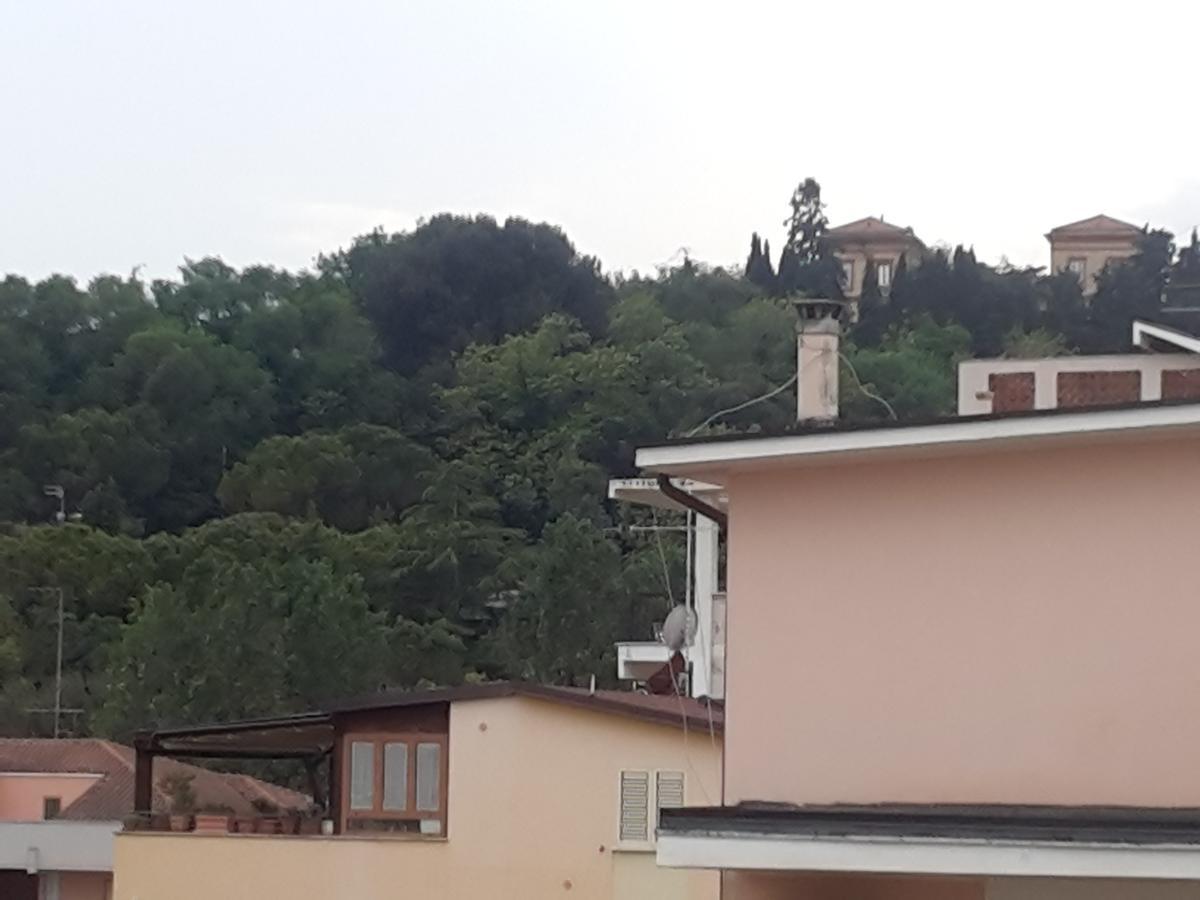 Hotel Antares Garni 朱利亚诺瓦 外观 照片